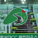 충성대마트
