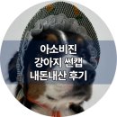더 귀엽개 | 대형견도 착용 가능한 아소비진 모자 강아지 썬캡 너무 귀여워요