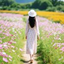 풍요로운 기다림 이미지