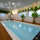 들꽃향기 펜션 | 파주독채펜션 들꽃향기풀빌라 영업시간 위치 안내