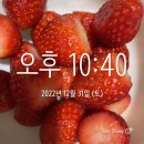 보리미식당 이미지