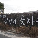 제주 산양곶자왈(산양큰엉곶) 이미지