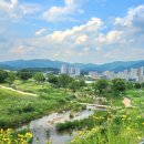 양평파크골프장 이미지