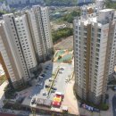 해뜰안애 이미지