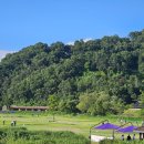 능주파크골프장 이미지