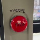 보통의날들