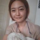 조아스포츠마사지 이미지