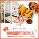 페리카나식당 이미지