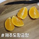 청년청과 이미지
