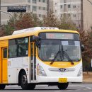 신대운여객 이미지