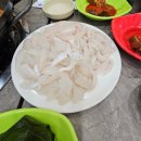 반주종생 이미지