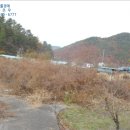 완월동168 이미지