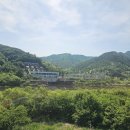 윗대이리 Daum카페