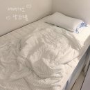 예쁜이불도로시데코 | 채집 공구(베베데코) • 냉감 이불 • 내돈내산 구매 후기