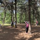 과천시치매안심센터 이미지