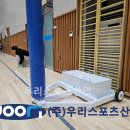 세종캠퍼스고등학교 이미지