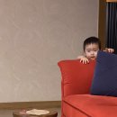 나드리 애견 이미지