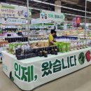 마트서울 이미지