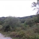 동림리(상동림) 이미지