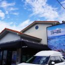 퍼피월드제주 | 제주도 애월 현지인 맛집 BTS 먹고 간 오션뷰 제주 애월읍 맛집