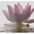 어둔(여) 이미지