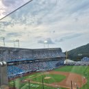 U-1 | ​🦁 대구 삼성라이온즈파크 SKY하단 U-1구역 1열 후기