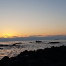 엔도르핀농장 이미지