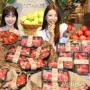 킹스베리 이미지