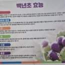 백년초바지락칼국수 이미지