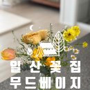 베이지 꽃 | 예쁜 꽃다발이 가득한 일산꽃집 '무드베이지' 후기
