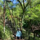 서울안산초등학교 | 인왕산 등산코스(홍제동코스 →수성동계곡 →서촌 서수라길) 후기