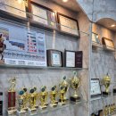 다산 MMA STORY 이미지