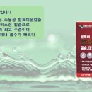 본케어코리아 이미지