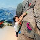 어깨동무 스토리움🎡 이미지