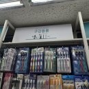 돌고돌아 정착한 칫솔 2080 해죽순 칫솔