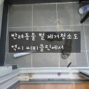 이든스테이 | 반려동물 털 제거 청소도 역시 씨피클린 ! 이든어반스테이 이사청소