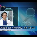 참포도나무병원
