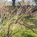 서광서리마을회관 이미지