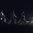 반딧불태권도체육관 이미지