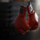 레드복싱클럽 이미지