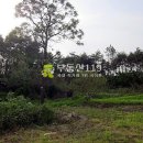 오수리농장 Daum카페