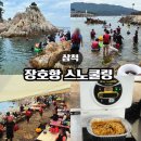장호항B(어촌체험마을 주차장) | 삼척 장호항 스노쿨링 후기 (feat. 주차·샤워·평상 팁 총정리)