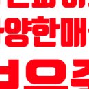 오동동055 이미지