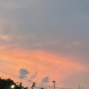 8월 첫째주 주간일기 챌린지 (경북 계곡, 부산 송정해수욕장, 송정 어밤부)