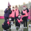 서대문구청 이미지