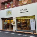 경산 영대 마이카츠 | [경북 경산] 영남대 혼밥하기 좋은 곳 영대 맛집 마이카츠