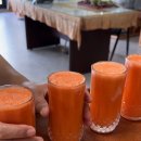 좋은효소단식원 | “초고도비만에서 건강을 되찾다 — 단식원 15일 해독단식 체험기”