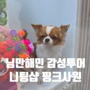 치앙마이 4일차 | 님만해민 감성 샵 투어 &amp; 0.5박 가성비 숙소 K Nimman 후기