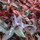 남해상사 이미지