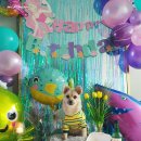 아반테이블 이미지